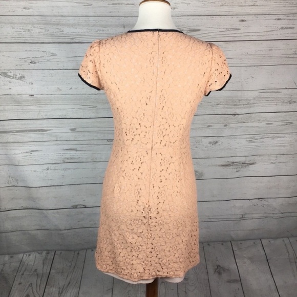 Loft pink lace dress - Picture 6 of 6
